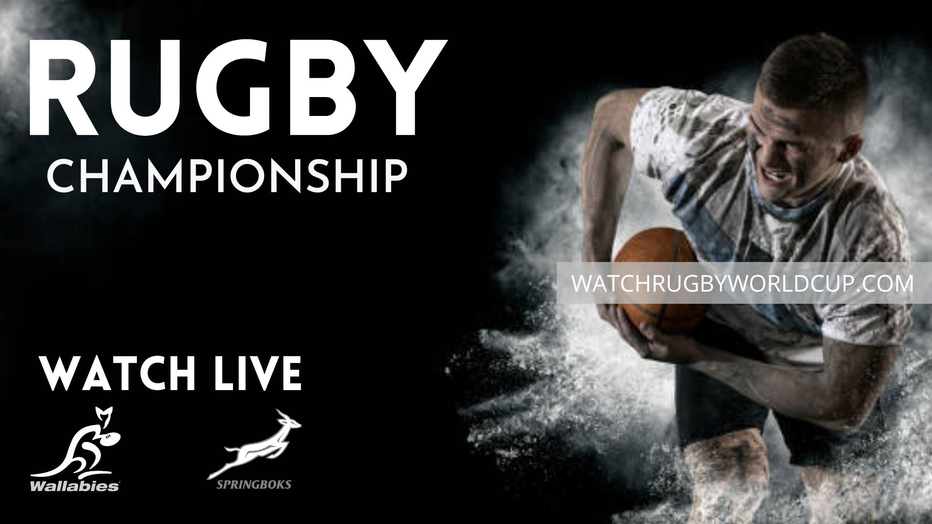 Australia Vs South Africa 3rd September Live Stream 2022 | Rugby Championship